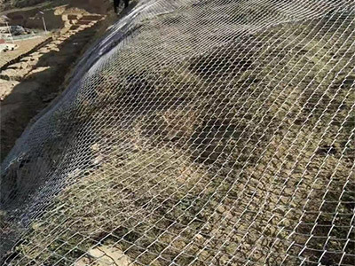 护坡勾花网